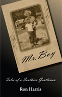 Book Cover Mr. Boy